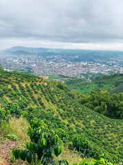 view from the top of a mountain, the city of Pereira-Colombia, Colombian natural landscape in the...