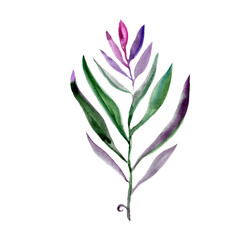 Watercolor leaves isolated on white background.