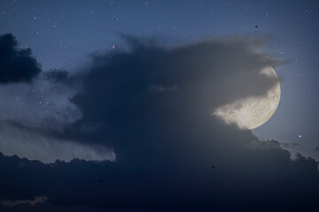 Obraz na płótnie Canvas Rising full moon in a beautiful night