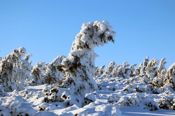 Zimowy mroźny krajobraz górski z tworami śnieżnymi