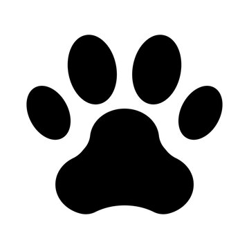 Animal footprint black icon. Paw foot trail print. Vector illustration isolated on white background.
