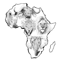 Big african five animal. Hand drawn illustration in continent. Collection of hand drawn illustrations