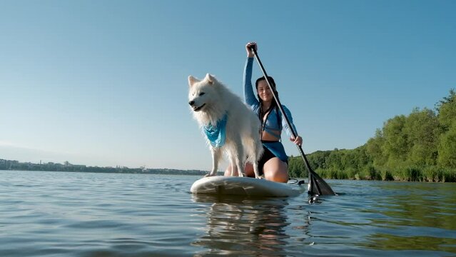 Cheerful Woman Paddleboarding with Her Pet on the City Lake, Snow-White Japanese Spitz Dog Standing on the Sup Board