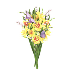 daffodil bouquet with willow and butterfly on white. Watercolor hand drawing illustration. Art for decoration and design