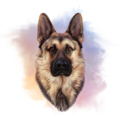 German Shepherd Dog portrait  on watercolor background. Animal Art collection Pedigree Dogs. Realistic Hand Painted Illustration of Pets. Design template. Good for t shirt, pillow, pet shop