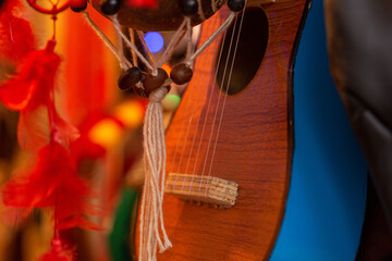 Traditional Stringed Musical Instrument