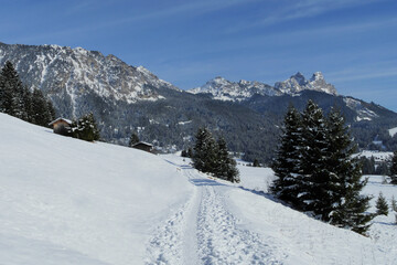Winter im Tannheimertal mit Blick zur Läuferspitze, Schartschrofen, Gimpel und Rote Flüh.