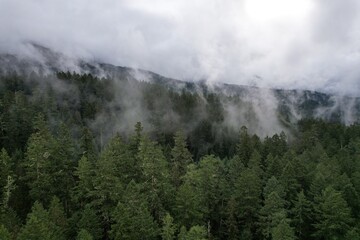 fog on the mountain