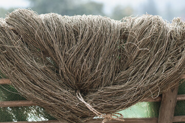 How to make hemp noodles with the process