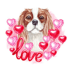 Valentines day Cavalier King Charles Spaniel dog with love and hearts. Cute puppy illustration for dog lovers.