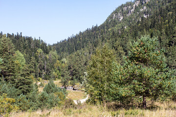 the beginning of autumn, nature walks, alpine meadows and hiking trails and recreation in the...