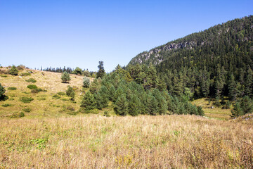 the beginning of autumn, nature walks, alpine meadows and hiking trails and recreation in the...
