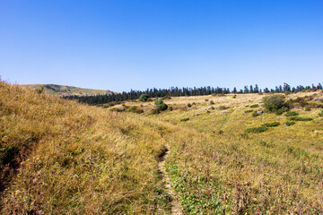 the beginning of autumn, nature walks, alpine meadows and hiking trails and recreation in the...