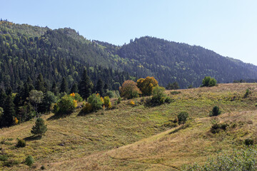 the beginning of autumn, nature walks, alpine meadows and hiking trails and recreation in the...