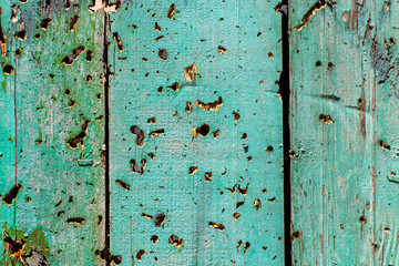 Bullet holes in the wooden fence