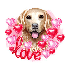 Valentines day Golden retriever dog with love and hearts. Cute puppy illustration for dog lovers.
