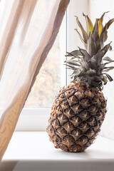 pineapple on the window