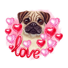 Valentines day pug dog with love and hearts. Cute puppy illustration for dog lovers.