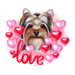 Valentines day Yorkshire Terrier dog with love and hearts. Cute puppy illustration for dog lovers.