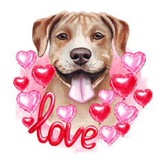 Valentines day American Pit Bull Terrier dog with love and hearts. Cute puppy illustration for dog lovers.