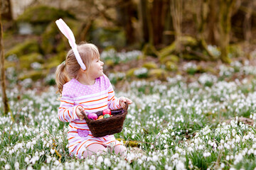 Little girl with Easter bunny ears making egg hunt in spring forest on sunny day, outdoors. Cute happy child with lots of snowdrop flowers and colored eggs. Springtime, christian holiday concept.