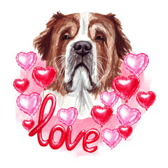 Valentines day St. Bernard dog with love and hearts. Cute puppy illustration for dog lovers.
