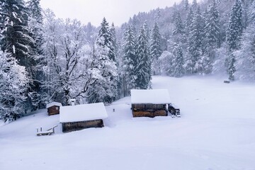 wooden hut in a winter landscape in the allgäu, germany

