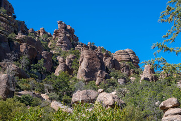 Stone columns aka hoodoos at Sea Captain Rock Formation in Chiricahua National Monument in Cochise County in Arizona AZ, USA. 