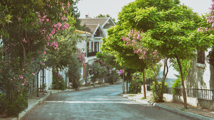 Street From Buyukada (Prinkipo), Istanbul, Turkey (Circa 2013)