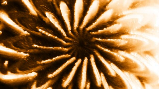 Abstract kaleidoscopic patten with transforming flowers. Motion. Blurred spinning flowers with petals.