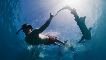 Obraz na płótnie Canvas Man free diving and snorkelling with the nurse shark in a tropical sea in the Maldives