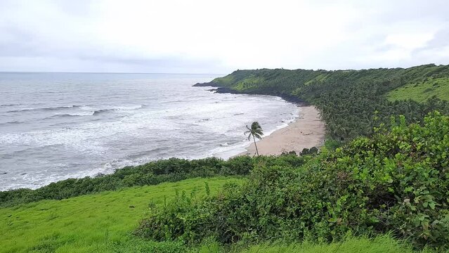 green grass cover goa beach. goa beach in monsoon.