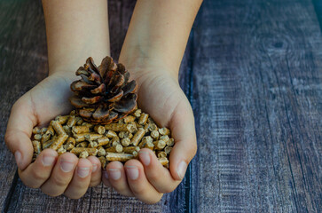 Hands of a child filled with pellets with a pine cone.
