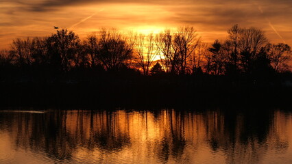 Naklejka premium Various sunsets. Occasional birds.