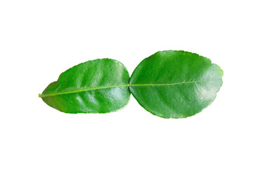 kaffir lime leaves
