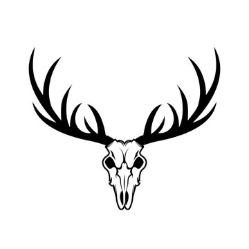 Deer skull head. Vector illustration on white background