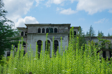 Ruins of a planted building in Georgia