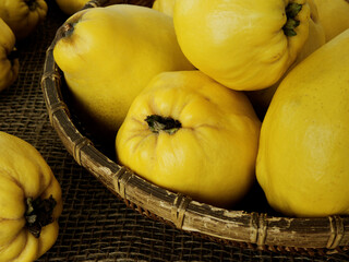 Apple-quince (Cydonia oblonga) fruits on a table and in rustic basket bowl.