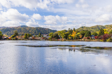 Fototapeta premium 京都嵯峨野 大覚寺の紅葉 