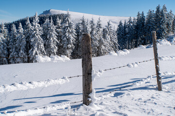 Verschneiter Stacheldrahtzaun mit verschneiten Bäumen im Hintergrund