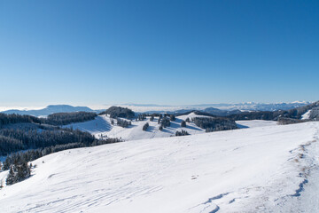 Fototapeta na wymiar Winterliche Berglandschaft im steirischen Almenland