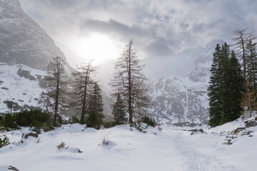 Obraz premium Snow-covered mountain range with a majestic massif during winter in Ehrwald, Tyrol, Austria