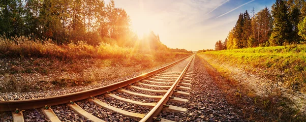 Fotobehang Chocoladebruin Perspective view of the railroad in countryside  © candy1812