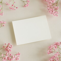 Greeting card mockup and pink  gypsophila flowers twigs on beige background top view flatlay. Card mockup with copy space.
