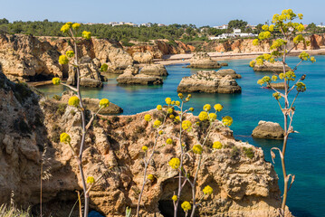 Klify w Portugalii na plażach w okolicach Portimao