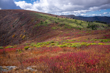 Rolling Colorful Mountains 2