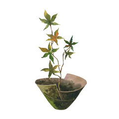 Watercolor images of branch with maple leaves in in green conical pot on a transparent background. Japanese style. Maple Leaves Clip Cart.