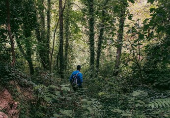 Naklejka premium person in the forest