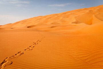 Human footsteps in sand dunes in the desert in Abu Dhabi, UAE