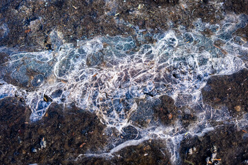 ice cracks and bubbles in frozen dirt winter